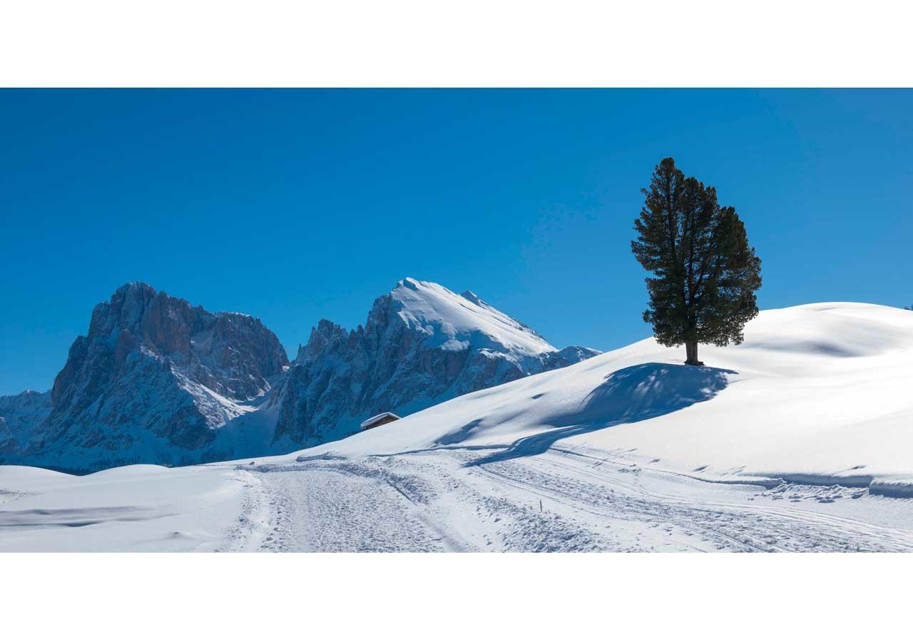 Seiser Alm Plaza Buitenkant foto